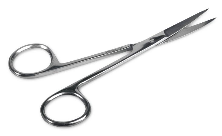 Iris Straight Scissors,Stainless Steel 50 (CS)