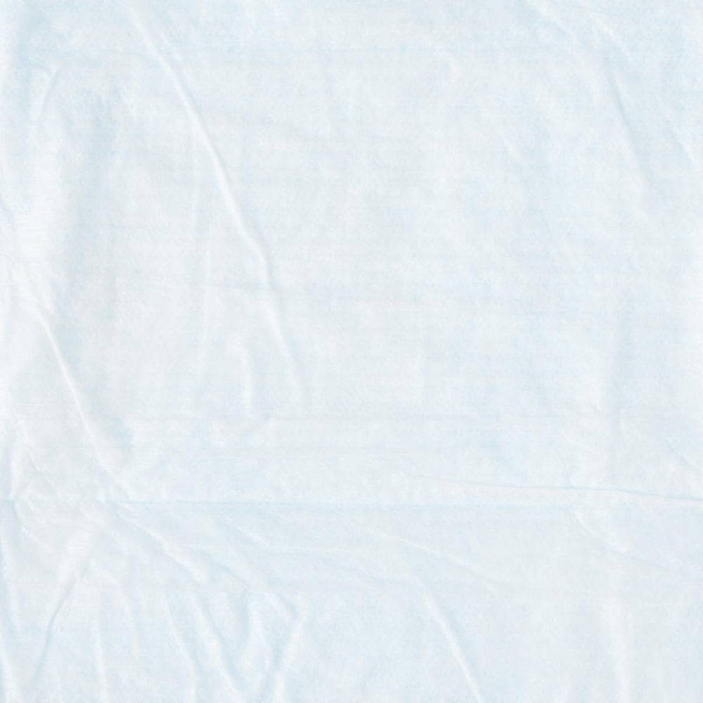 Disposable Underpads,Blue,24" X 23" 200 (CS)