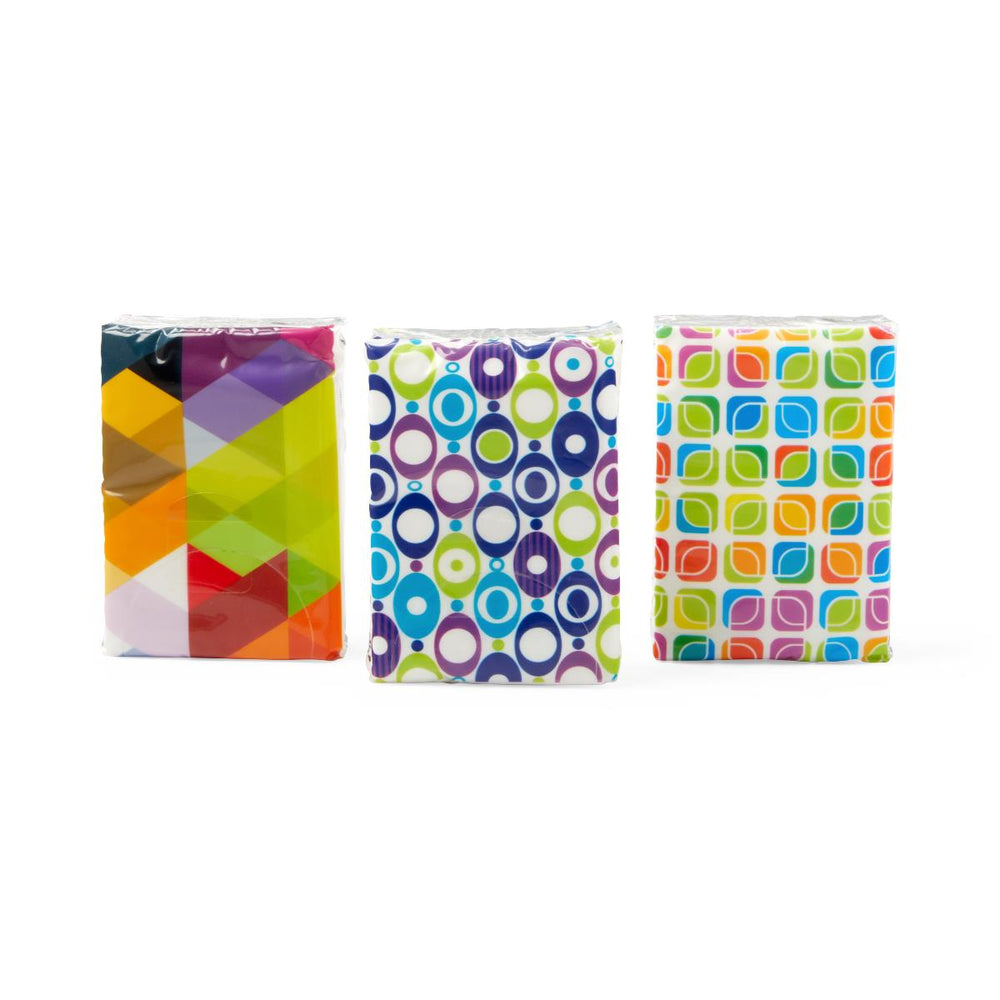 Facial Tissue Pocket Packs 100 (CS)