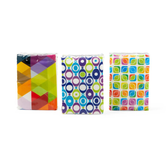 Facial Tissue Pocket Packs 100 (CS)