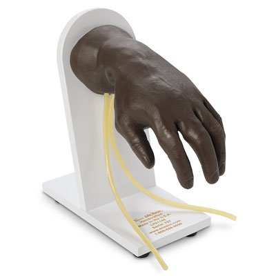 life-form-reg-iv-training-hand-mannequin