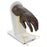 life-form-reg-iv-training-hand-mannequin