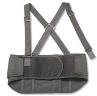 proflex-reg-back-support