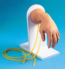 life-form-reg-advanced-iv-hand-model