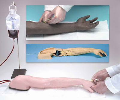 life-form-reg-advanced-venipuncture-and-injection-arm