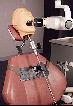 dentoform-reg-x-ray-dental-mannequin
