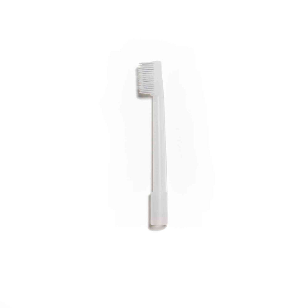 halyard-suction-toothbrush