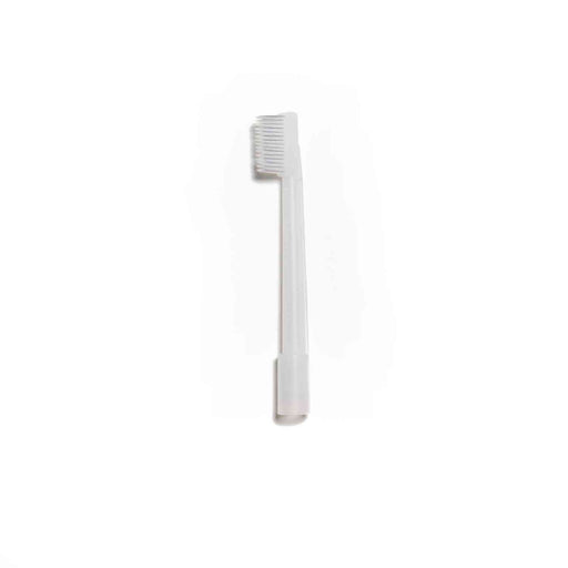 halyard-suction-toothbrush