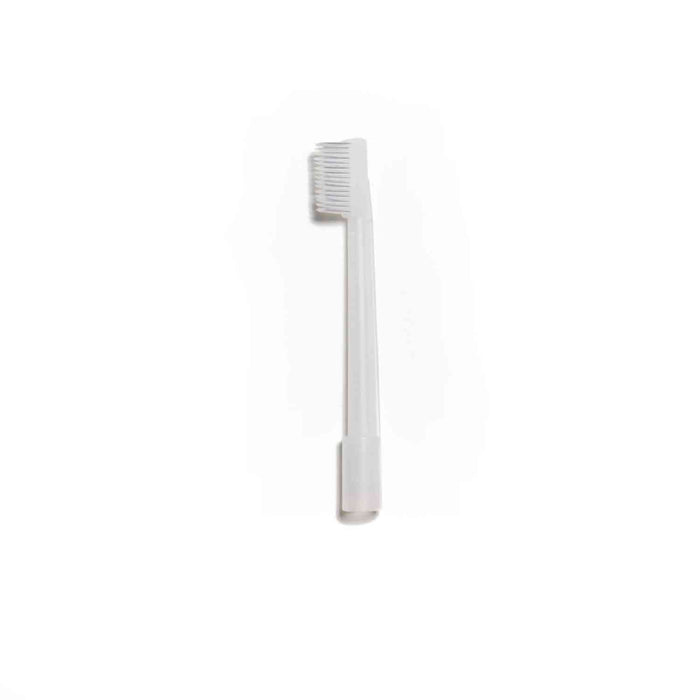 halyard-suction-toothbrush
