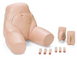 laerdal-medical-interchangeable-catheterization-amp-enema-task-trainer